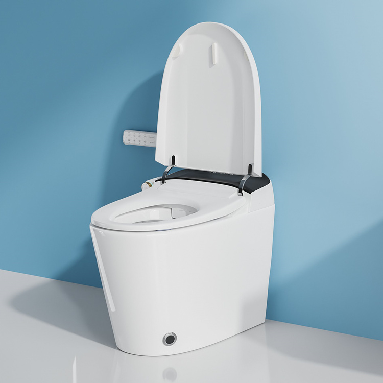 家庭装飾浴室スマート電子自動洗浄センサー付き水洗トイレ - Home And Bathroom のレビューと価格