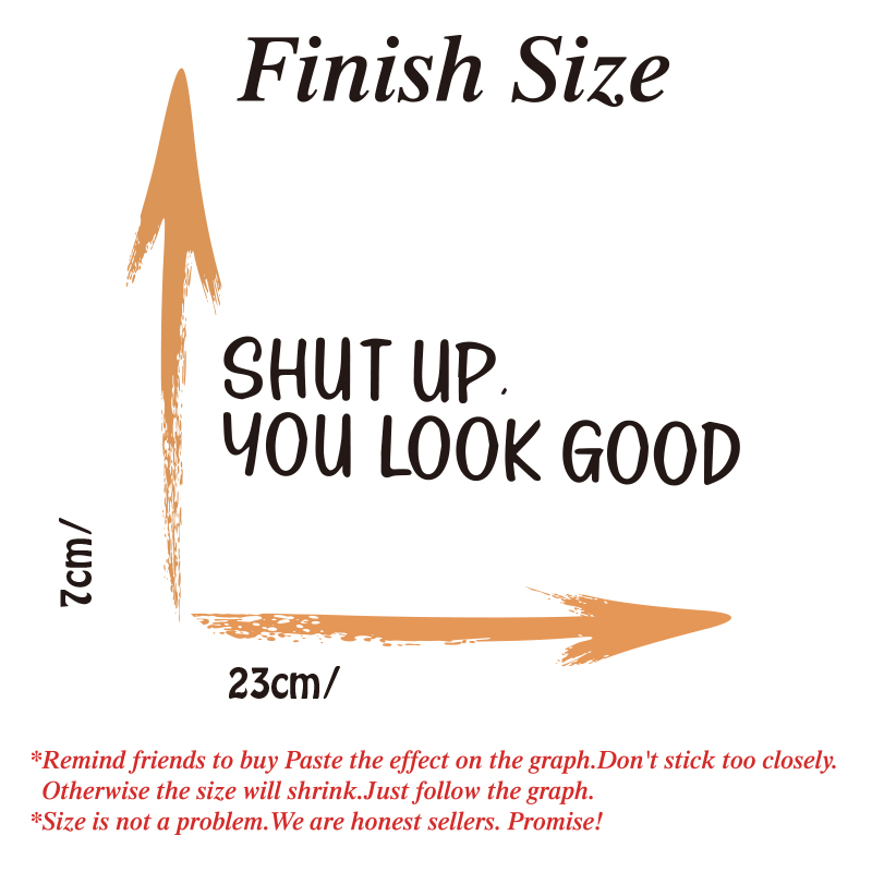 Sh * tあなたが良い引用ミラーデカールステッカーインスピ - Home Goods Bathroom Mirrors のレビューと価格